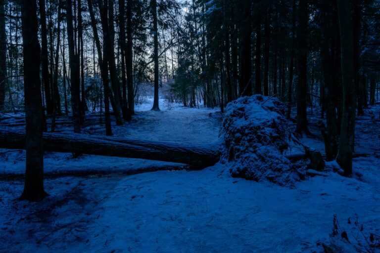 Powstanie styczniowe na ziemiach łódzkich – bitwy, bohaterowie, pamiątki